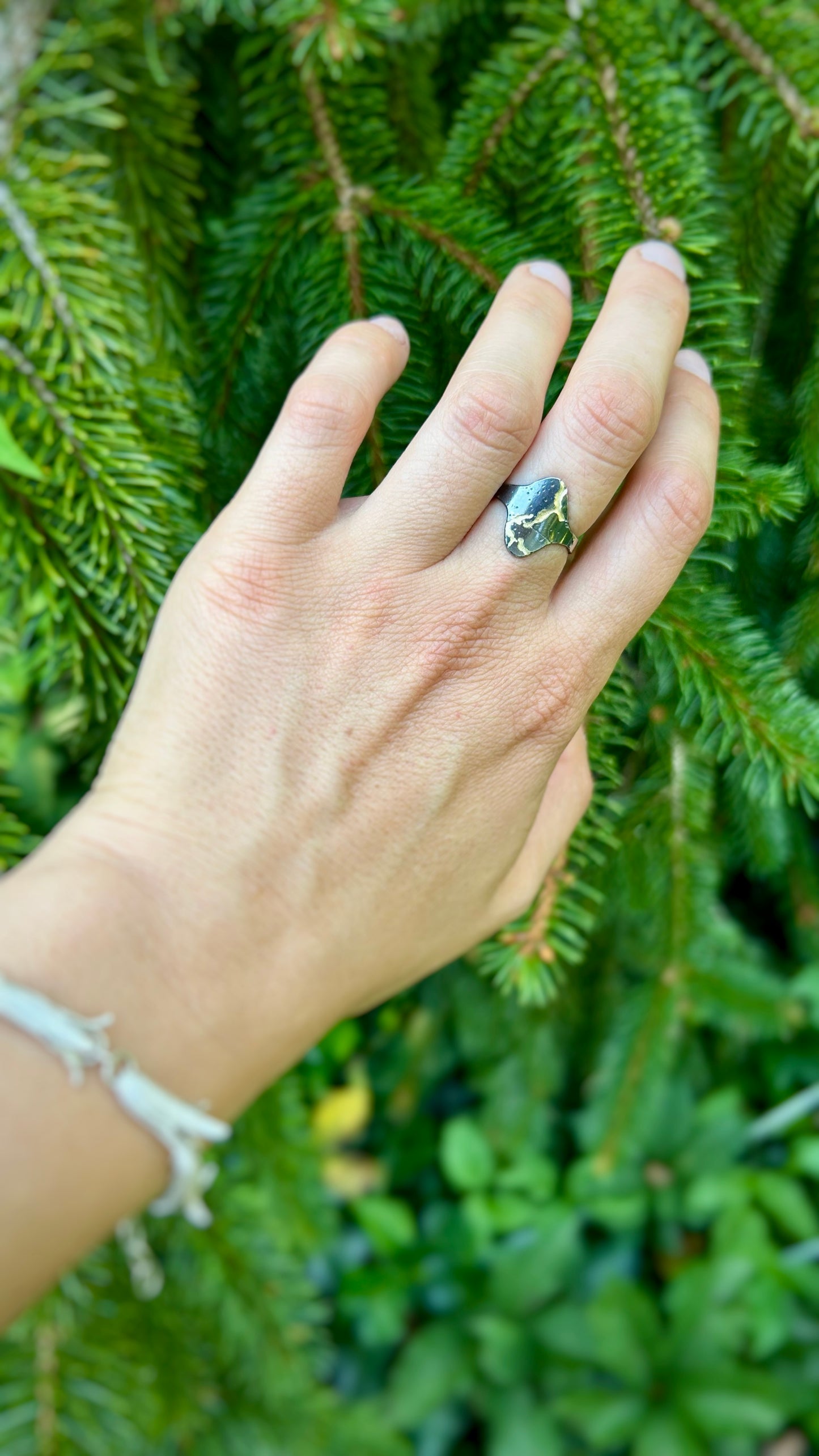 Fissure Ring